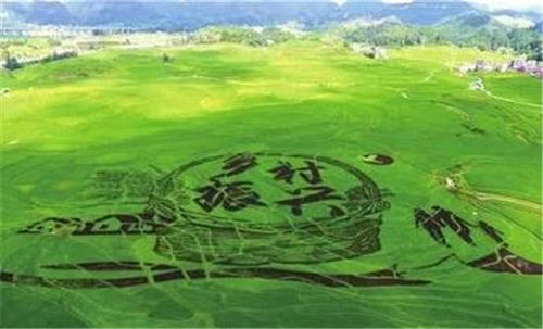 福建省确定实施乡村振兴战略十大行动 落实100项重点任务