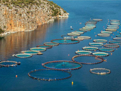 江西省渔业生产平稳有序 养殖和加工龙头企业复工率达90%