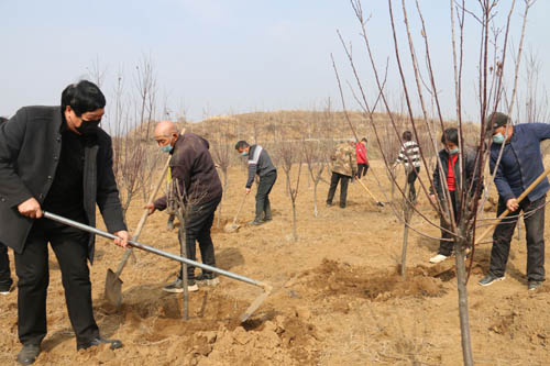 河南南召：奋力打赢“双胜利”  生态扶贫收“红利”