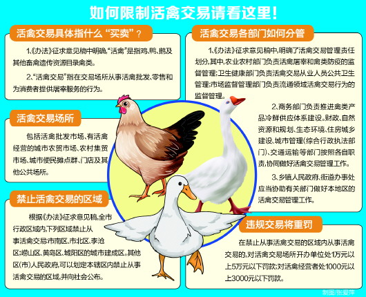 活禽交易青岛拟设禁区 鼓励实施活禽集中宰杀