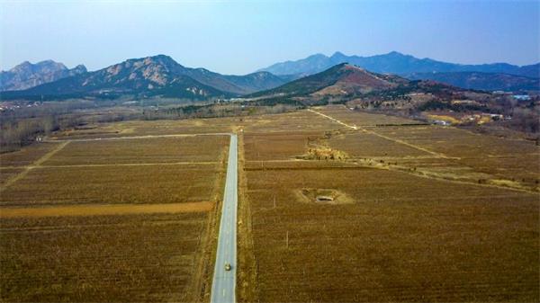 黄岛法院：快速执行涉2000亩流转土地案 助力春耕生产