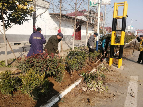 春回大地 绿满家园——兰陵县长城镇广泛开展植树造林活动