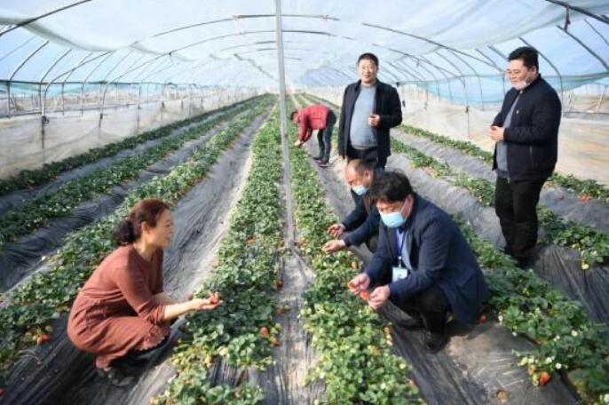 河南省镇平县晁陂镇脱贫攻坚和民生项目全面复工复产