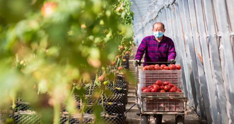 两部门：启动优势特色产业集群建设