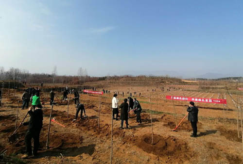 河南省南召县南河店镇：义务植树添新绿 生态扶贫促增收