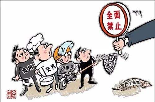 北京拟立法全面禁食陆生野生动物和列入名录水生野生动物