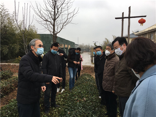战疫情勇担当 茶学专家丁兆堂教授助力茶产业复工复产