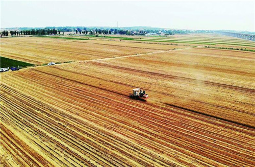 2020年青岛推动智慧农机建设 确保粮食面积700万亩以上