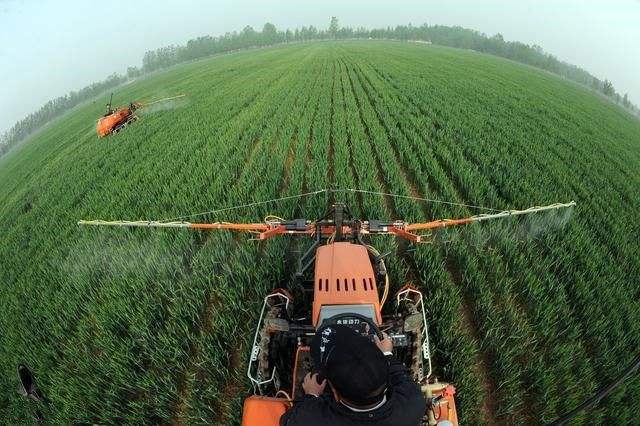 稳住基本盘 筑牢“压舱石” “三农”稳产保供增收全面发力