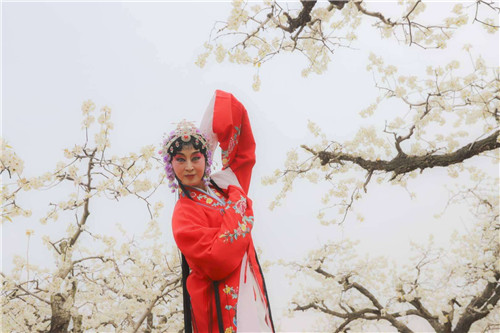 第二届桃花源艺术节在青岛西海岸新区开幕