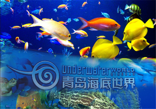 青岛旅游资源整合实现新突破 海底世界划入青岛旅游集团