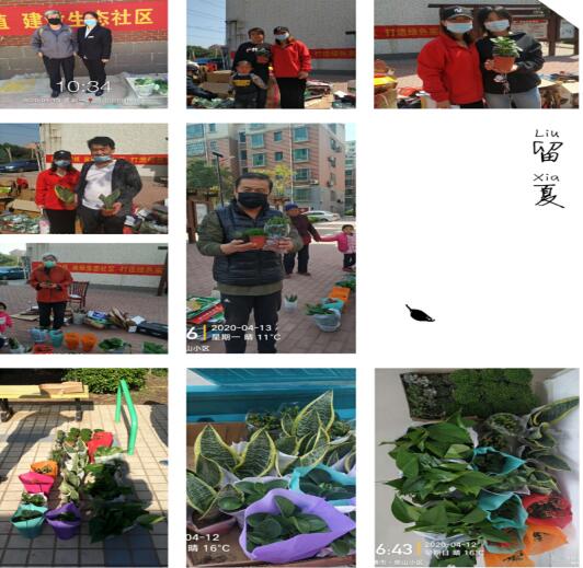 20200415160528990.jpg 20200415160528990.jpg