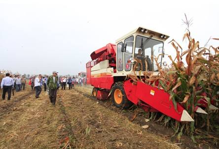 雷沃重工新推东北地区“特制”玉米机