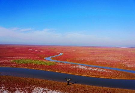 黄河口生态旅游区晋升国家5A级旅游景区!