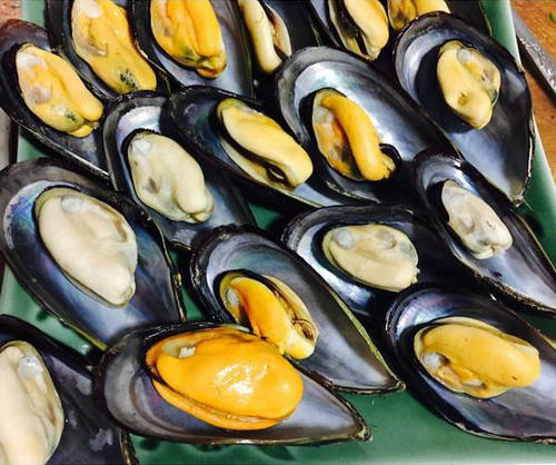 爱吃海虹的朋友忍一忍，4月、5月是中毒高发期