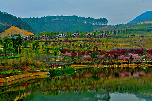 花开疫散 十里蓝山邀您赴春之约