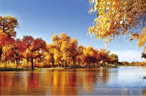 内蒙古阿拉善盟推出系列举措促进旅游消费