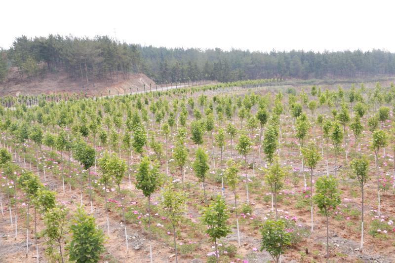 20200428170605232.jpg 20200428170605232.jpg