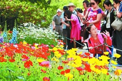 “五一”期间消费市场加速回暖