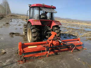 大庆秸秆已全部离田还田 预计5月13日水田插秧
