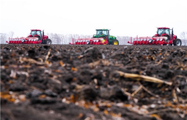 哈尔滨市玉米播种接近尾声