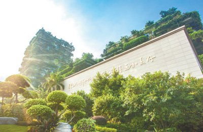 碧桂园集团—— 线上直播带动创新营销