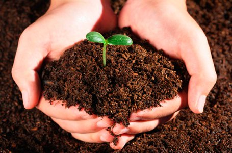 广深佛莞纳入省级污染地块环境监管试点