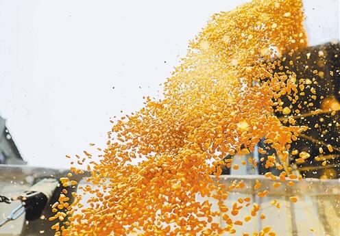 我国粮食库存充足数量真实可靠