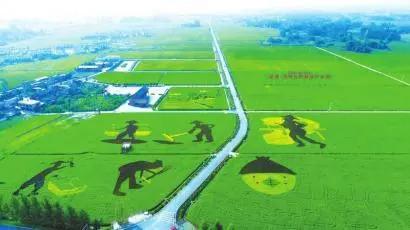 四川：粮油产业振兴绘出“路线图”