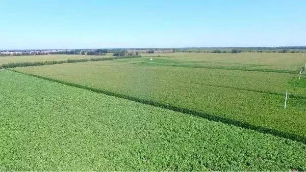 内蒙古高标准农田建设和盐碱化耕地改良取得明显成效