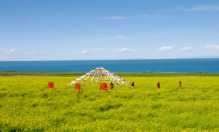 青海:以权力“减法”服务“加法” 激发市场“乘法”