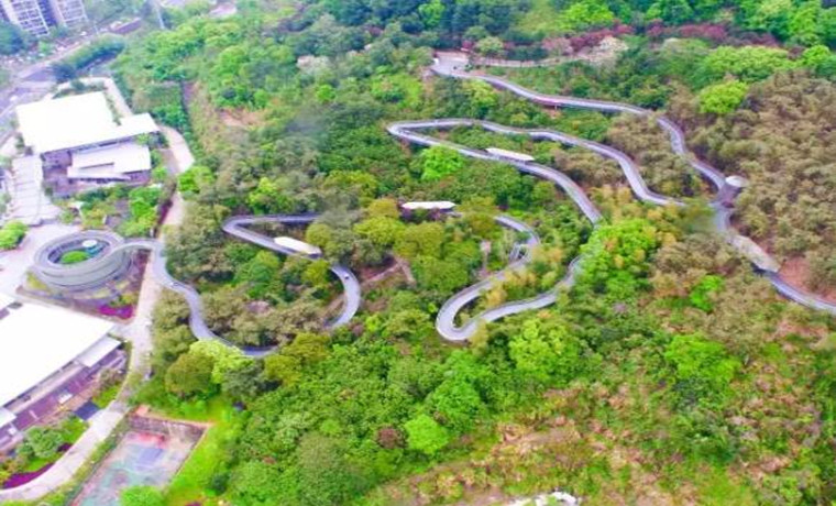 福建首批森林步道来啦！有路过你的家乡吗？