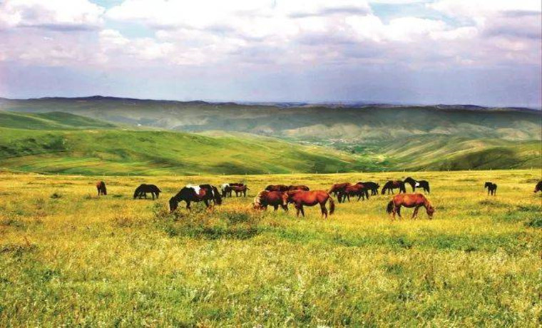 包头市专项治理草原旅游生态环境