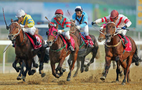 首届内蒙古“云跑马”开跑
