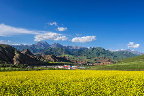 青海省将投入4394万元改建184座旅游厕所