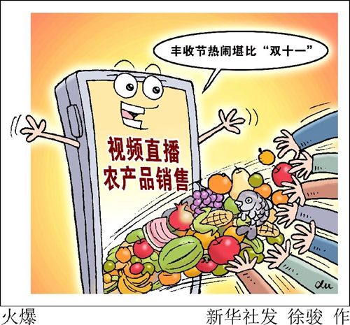 “网红”县长直播带货蹚出乡村振兴新路