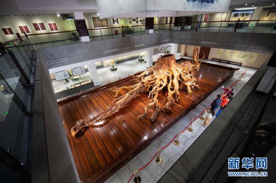 20200608100230147.jpg 16253882969356083270.jpg