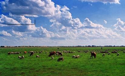 内蒙古阿鲁科尔沁旗入选第十批国家农业标准化示范区