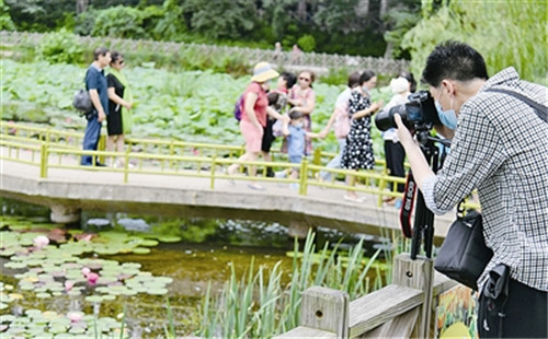 端午假期青岛文明旅游氛围浓 各景区文明引导 “文明之花”盛开