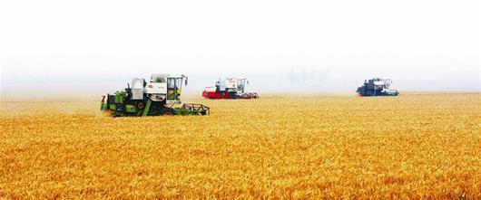 巴彦淖尔市农业标准化生产面积新增113万亩