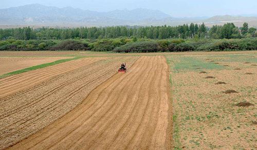 内蒙古春播结束 超额完成国家下达粮食播种任务