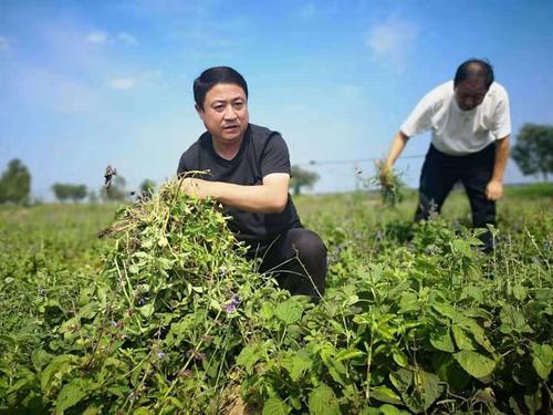 使命在肩 初心无悔——追记临矿集团派驻沂水县四十里堡镇洪沟村第一书记刘建光同志