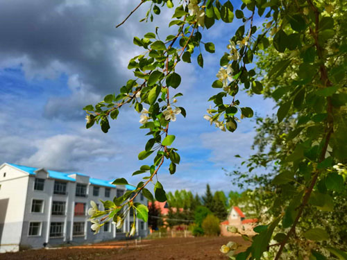 20200718160711862.jpg 2.jpg