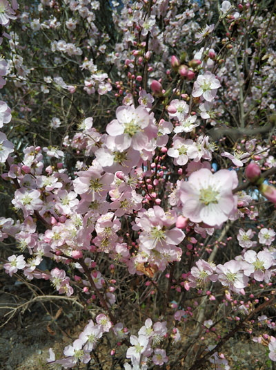 20200718160734201.jpg 4.jpg