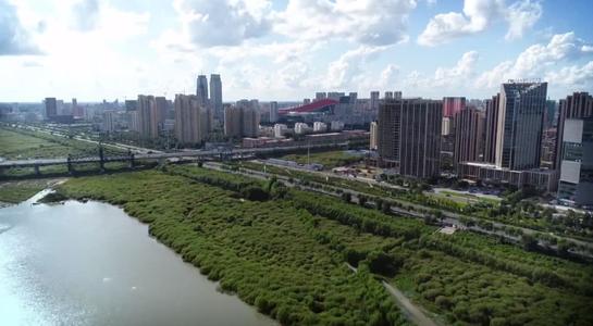 黑龙江自贸区哈尔滨片区挂牌9个月新增企业2875家 同比增长67.9%