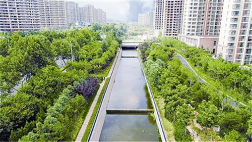 青岛：大雨落地，“海绵”就地吸走八成多