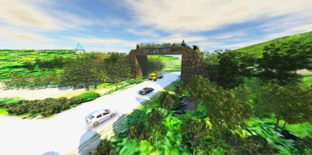 广西建灵长类动物生态廊道