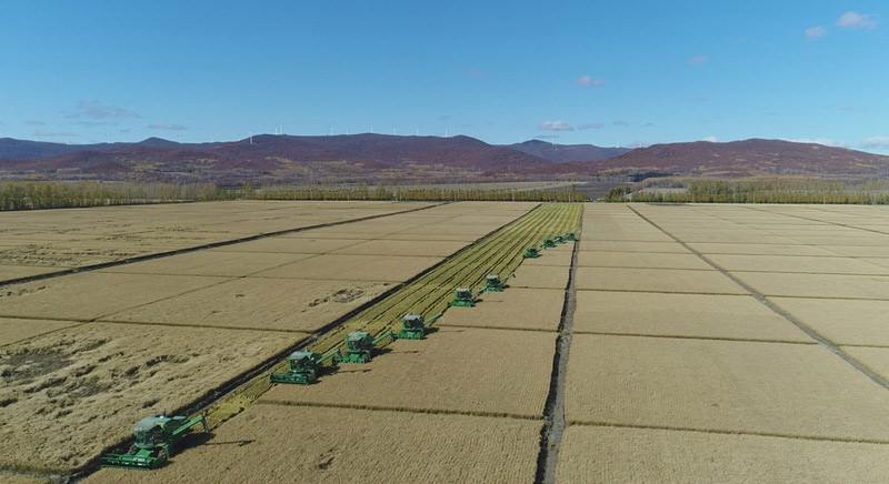 让农业发展挑上“金扁担”