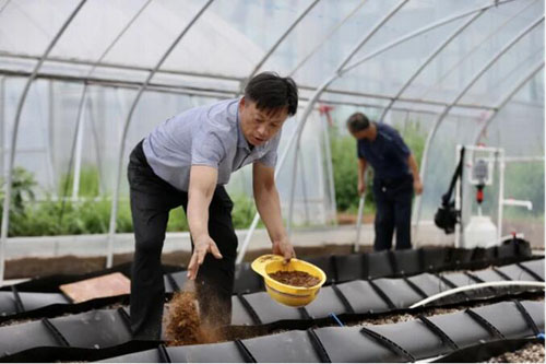 20200722145445538.jpg 4.jpg