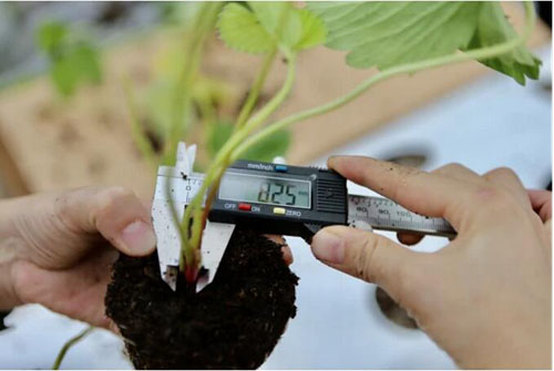 20200722145501386.jpg 5.jpg